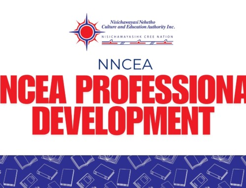 NNCEA PROFESSIONAL DEVELOPMENT